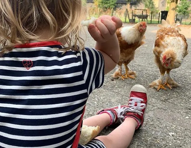 Feriehus Grutterai *