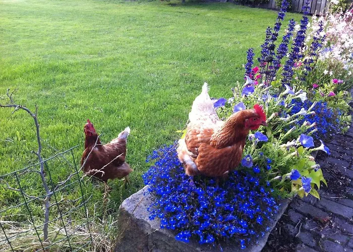 Grutterai Feriehus Slootdorp