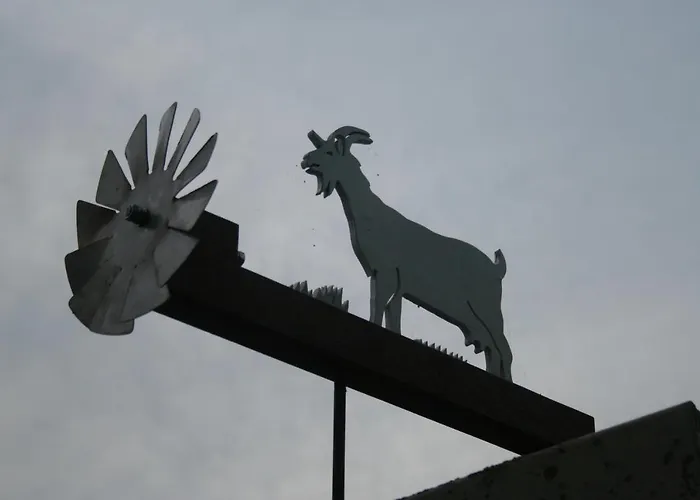 Grutterai * Slootdorp