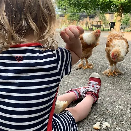 بيت للعطل Grutterai *